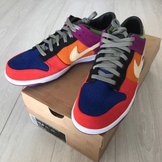 ナイキ(NIKE)の◉新品未使用　NIKE DUNK VIOTEC(スニーカー)