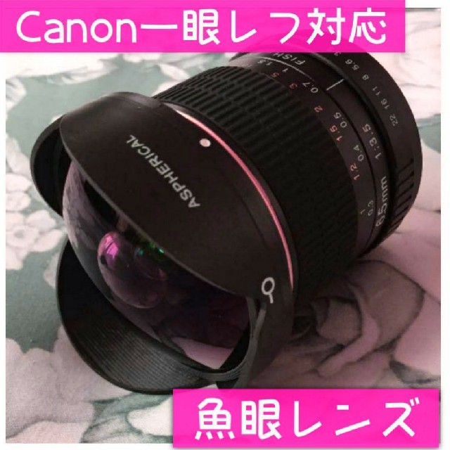 超広角レンズ！魚眼レンズ！Canon一眼レフ対応！サードパーティ製！簡単！手軽！