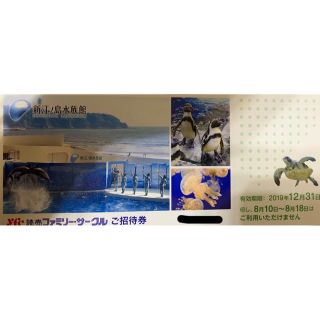 新江ノ島水族館　ご招待券　ペアチケット(水族館)