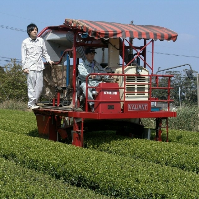 無農薬　和紅茶　国産　お徳用　オーガニック　有機栽培 食品/飲料/酒の飲料(茶)の商品写真