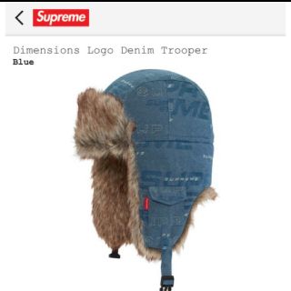 シュプリーム(Supreme)の最安supreme Dimensions Logo Denim Trooper (その他)