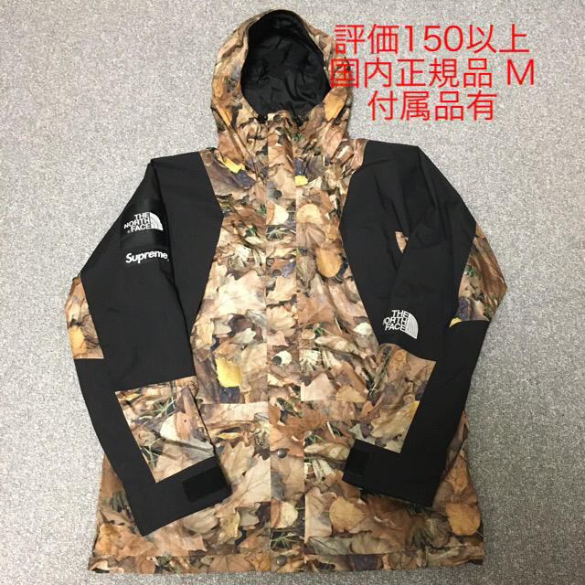 Supreme The North Face Mountain Jacket