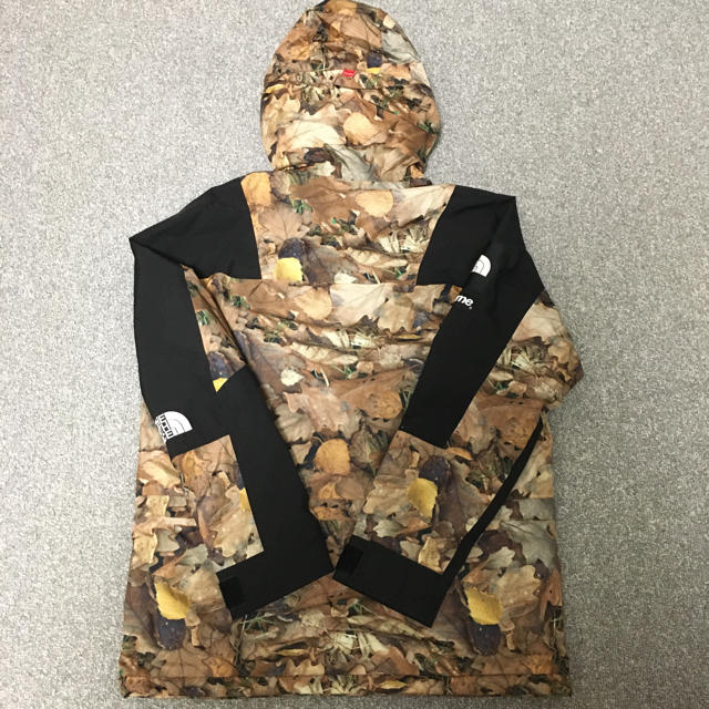 Supreme The North Face Mountain Jacket