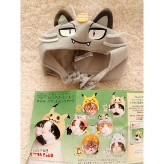 猫かぶりもの　ポケットモンスター　ニャース(猫)