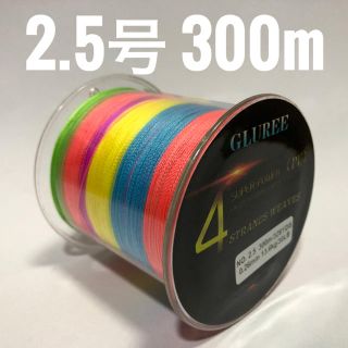 PEライン 2.5号 300m マルチカラー(釣り糸/ライン)