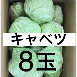 【鹿児島産】中早生キャベツ8玉セット(野菜)