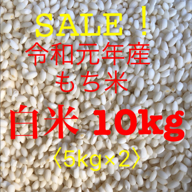 新米 餅米 マンゲツモチ 白米 10kg 令和元年産 年末まで SALE