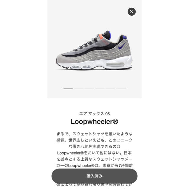 NIKE(ナイキ)の新品未使用 NIKE ループウィラー airmax 95 US10 28cm メンズの靴/シューズ(スニーカー)の商品写真