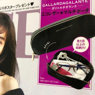 ガリャルダガランテ(GALLARDA GALANTE)のGinger 付録(ポーチ)