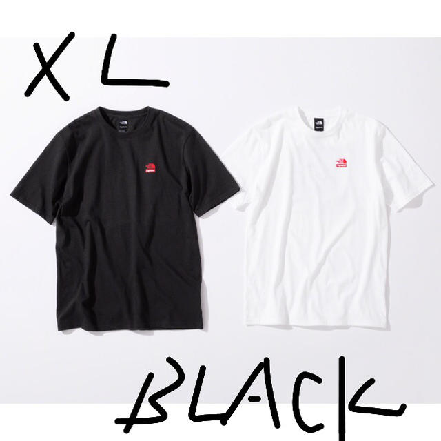 Supreme(シュプリーム)のSupreme TheNorthFace StatueofLiberty Tee メンズのトップス(Tシャツ/カットソー(半袖/袖なし))の商品写真