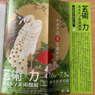 ⭐︎日テレ　株主優待　⭐︎ ボストン　美術館展　⭐︎ 芸術力⭐︎(美術館/博物館)