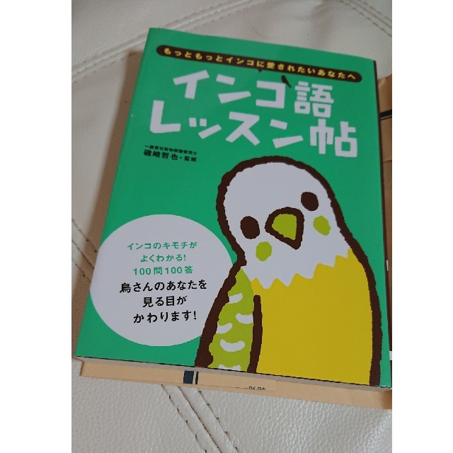 インコ語レッスン帖 エンタメ/ホビーの本(趣味/スポーツ/実用)の商品写真