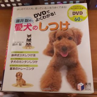 藤井聡の愛犬のしつけ ＤＶＤでよくわかる！(住まい/暮らし/子育て)