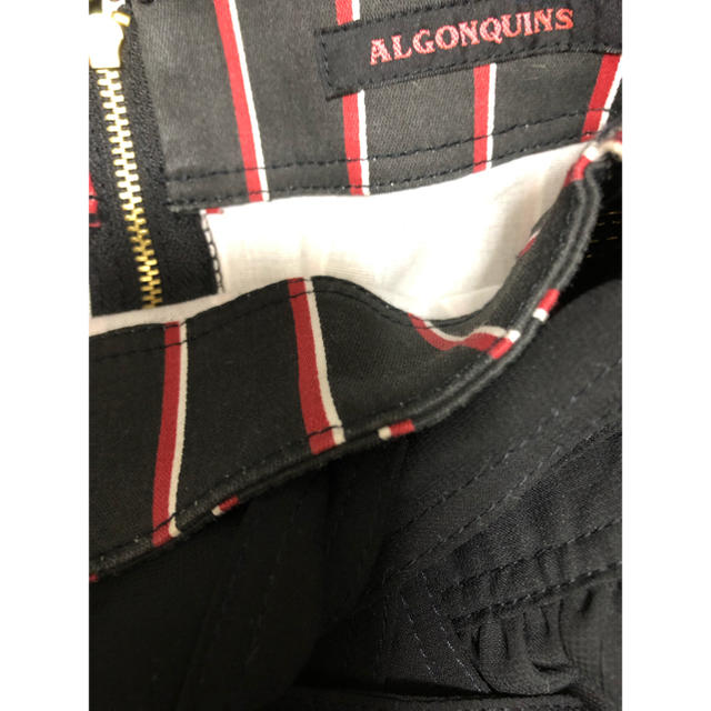 ALGONQUINS(アルゴンキン)のalgonquins  ミニスカート レディースのスカート(ミニスカート)の商品写真