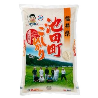 新米　池田町こしひかり　5キロ　食味特Ａ7年連続(米/穀物)