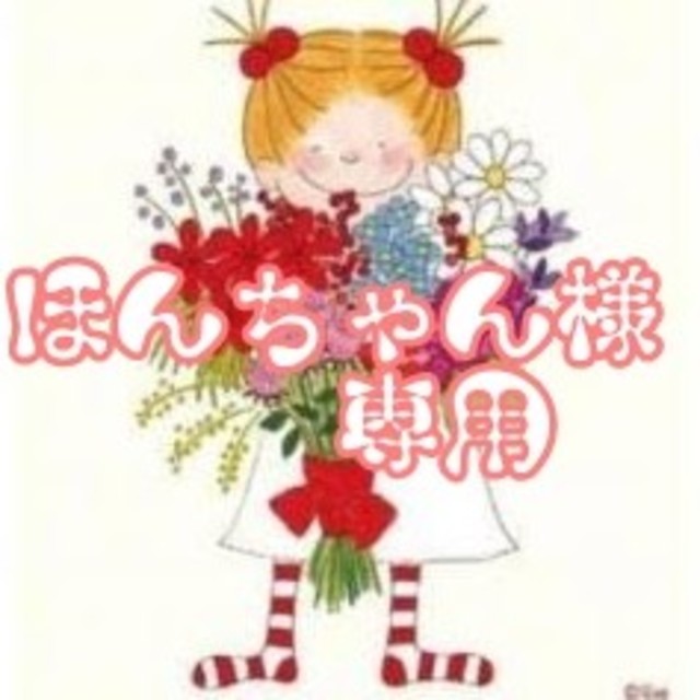 ほんちゃん様専用◌ ͙❁˚ 返品可 www.bluepractice.co.jp