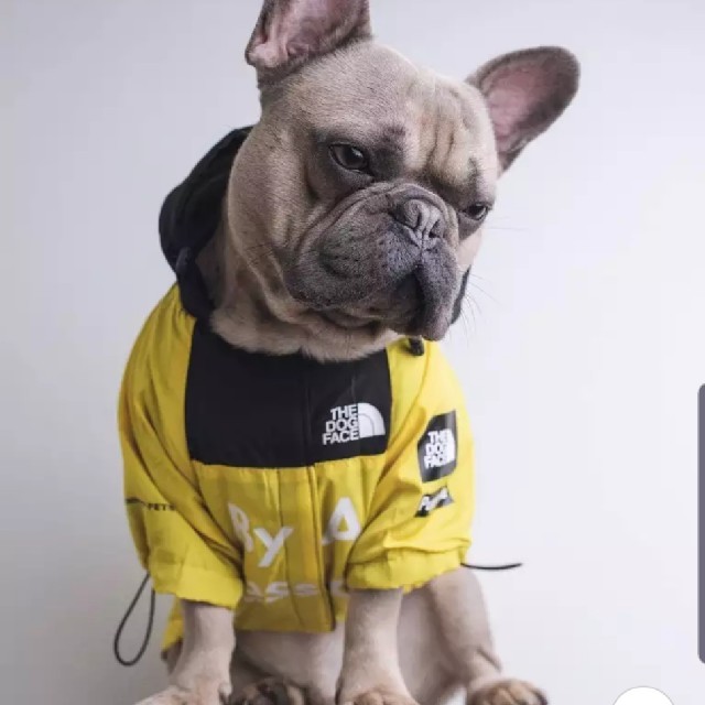 【XXL】【yellow】ペット服・犬服  犬パーカー ハンドメイドのペット(ペット服/アクセサリー)の商品写真