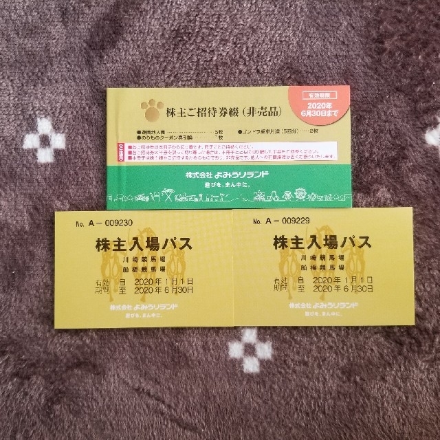 よみうりランド 株主優待券 チケットの施設利用券(遊園地/テーマパーク)の商品写真