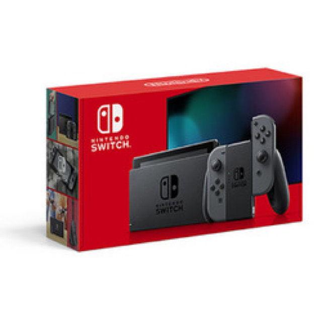 nintendo switch ニンテンドースイッチ　グレー　新品　本体1個セーフティーガイド