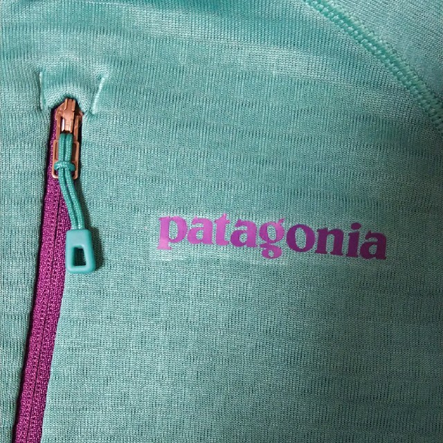 patagonia R1 フーディーの通販 by ミナヅキ's shop｜パタゴニアならラクマ - patagonia フリース 得価大人気