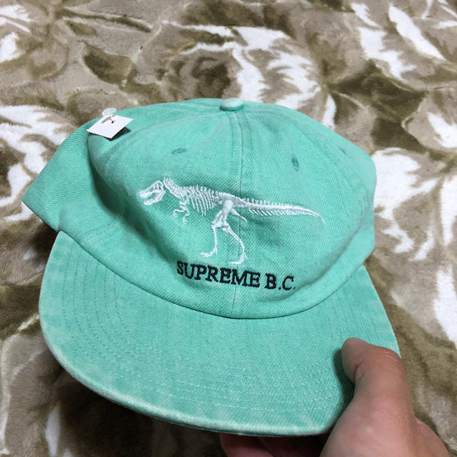 引出物 キャップ 恐竜 ecousarecycling.com
