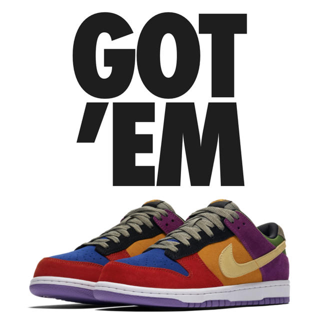 NIKE(ナイキ)のNIKE SB dunk low viotech メンズの靴/シューズ(スニーカー)の商品写真