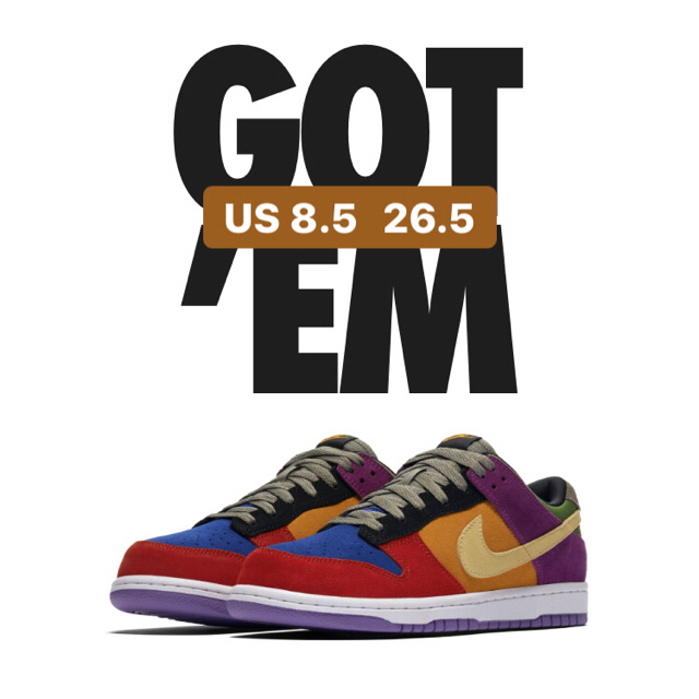 NIKE(ナイキ)のNike dunk low SP VIOTECH 26.5 メンズの靴/シューズ(スニーカー)の商品写真