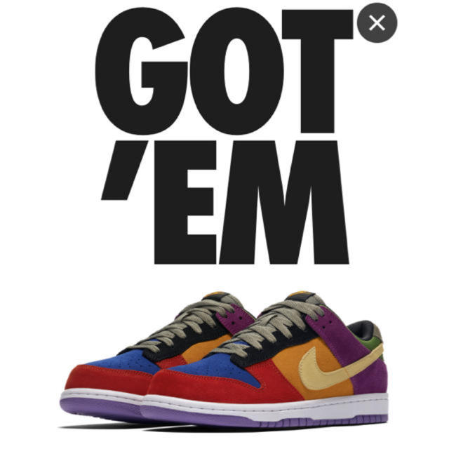 NIKE DUNK LOW VIOTECHメンズ