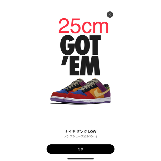 NIKE(ナイキ)のNIKE DUNK LOW SP “Viotech” 25cm メンズの靴/シューズ(スニーカー)の商品写真