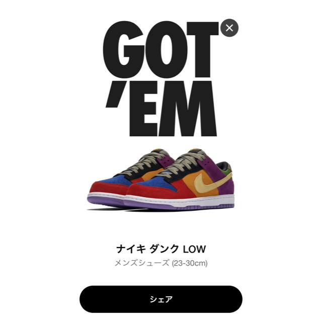 NIKE(ナイキ)のNIKE DUNK LOW VIOTECH 26.5cm メンズの靴/シューズ(スニーカー)の商品写真