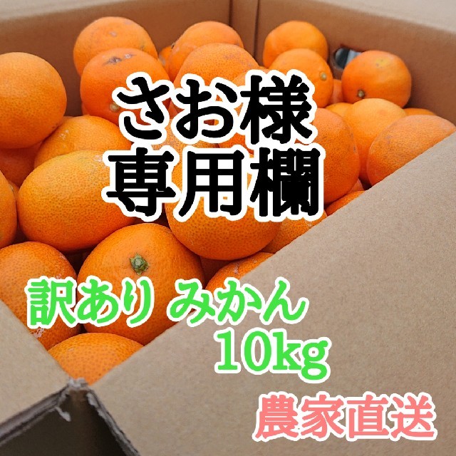 さお様専用欄 訳あり みかん 10kg  農家直送！h 食品/飲料/酒の食品(フルーツ)の商品写真