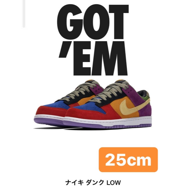 NIKE(ナイキ)のNIKE DUNK LOW Viotech レディースの靴/シューズ(スニーカー)の商品写真