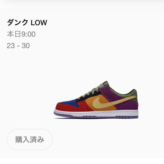 NIKE(ナイキ)のNIKE DUNK LOW VIOTECH 27cm メンズの靴/シューズ(スニーカー)の商品写真