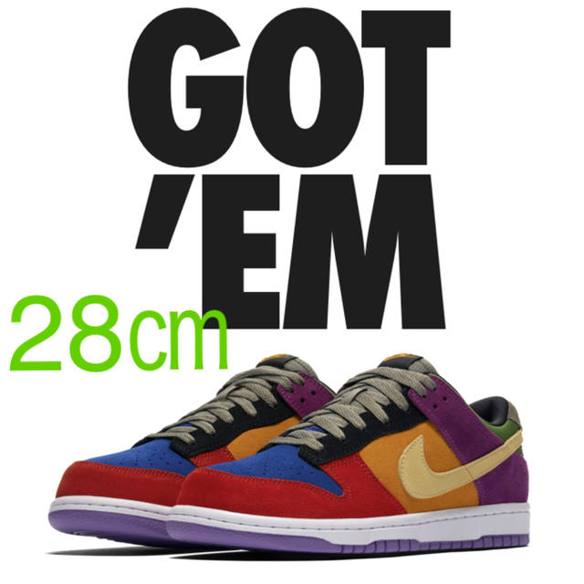 28㎝ NIKE DUNK LOW SP VIOTECH ナイキ ダンク