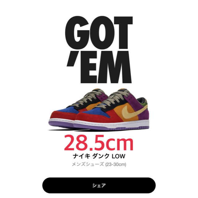 NIKE(ナイキ)のナイキ　ダンク LOW 28.5cm バイオテック メンズの靴/シューズ(スニーカー)の商品写真