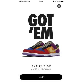 ナイキ(NIKE)のナイキ　NIKE Dunk Low VIOTECH(スニーカー)