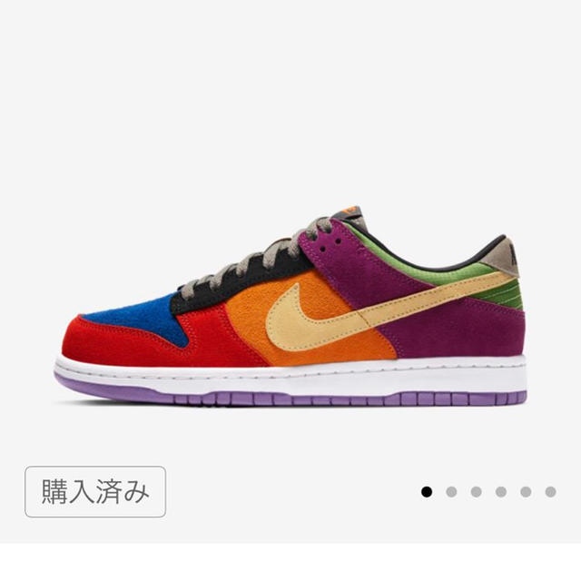 NIKE(ナイキ)のNIKE SB DUNK LOW VIOTECH メンズの靴/シューズ(スニーカー)の商品写真