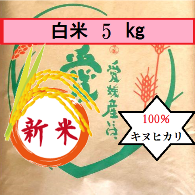 お米 令和元年 愛媛県産キヌヒカリ 白米 5㎏