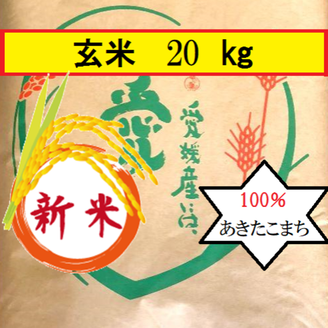 お米　令和元年愛媛県産あきたこまち 玄米　20Kg食品/飲料/酒