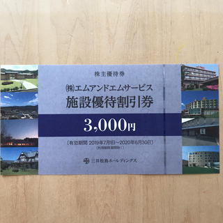 afst様専用　エムアンドエム　施設優待割引券2枚セット(その他)