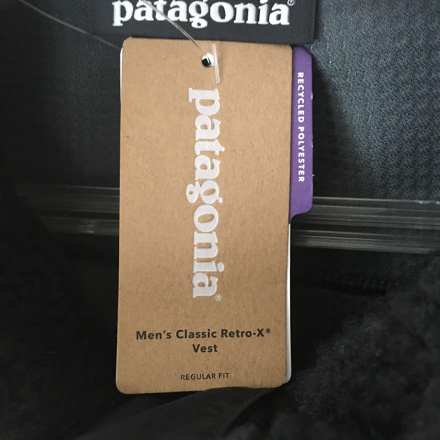 patagonia(パタゴニア)のFA19 patagonia レトロX ベスト パタゴニア BOB 完売 メンズのトップス(ベスト)の商品写真