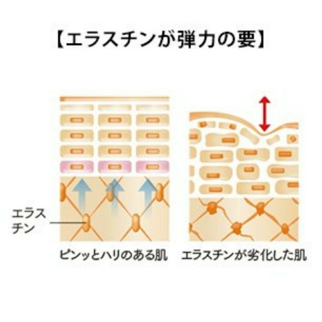 FANCL(ファンケル)のファンケル リンクルクリーム 2本 コスメ/美容のスキンケア/基礎化粧品(フェイスクリーム)の商品写真