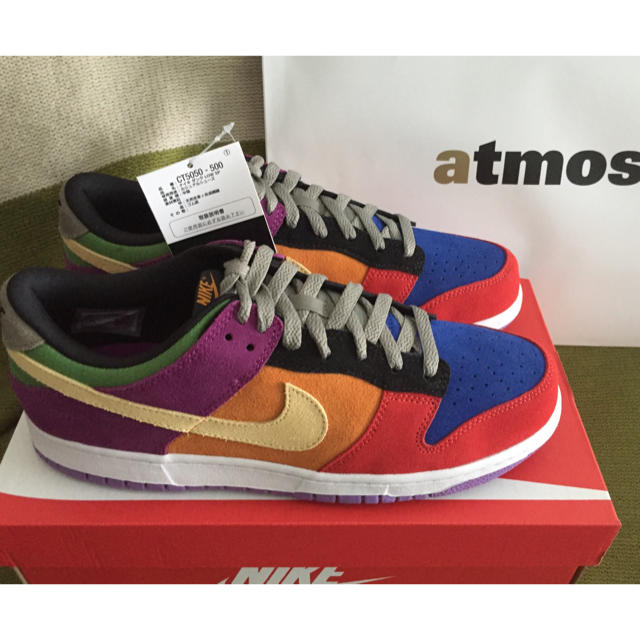 国内正規 NIKE DUNK LOW SP VIOTECH 28cm US10