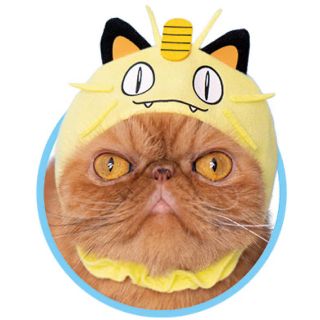 ポケモン 猫の通販 18点 ポケモンのその他を買うならラクマ