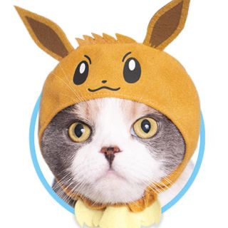 ポケモン(ポケモン)の＊ぴな様専用＊ねこのかぶりもの　ポケモン　イーブイ(猫)