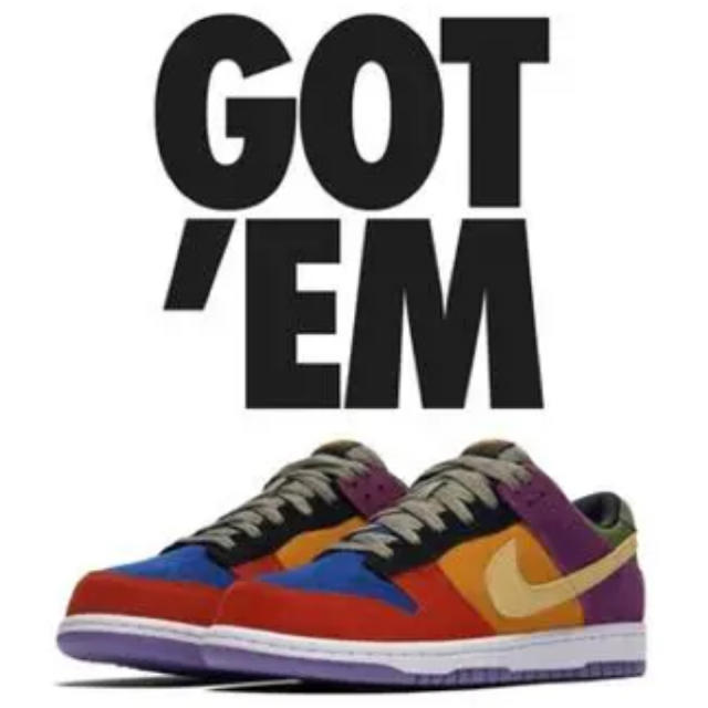 NIKE SB DUNK  LOW VIOTECH 28.5 バイオテック靴/シューズ