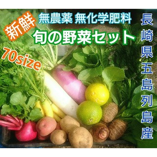無農薬❗新鮮野菜セット(70サイズ) 〈ラインナップご確認を〉 長崎県五島列島産(野菜)