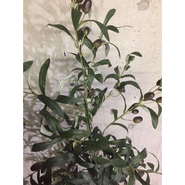 光触媒 人工観葉植物 特大オリーブ