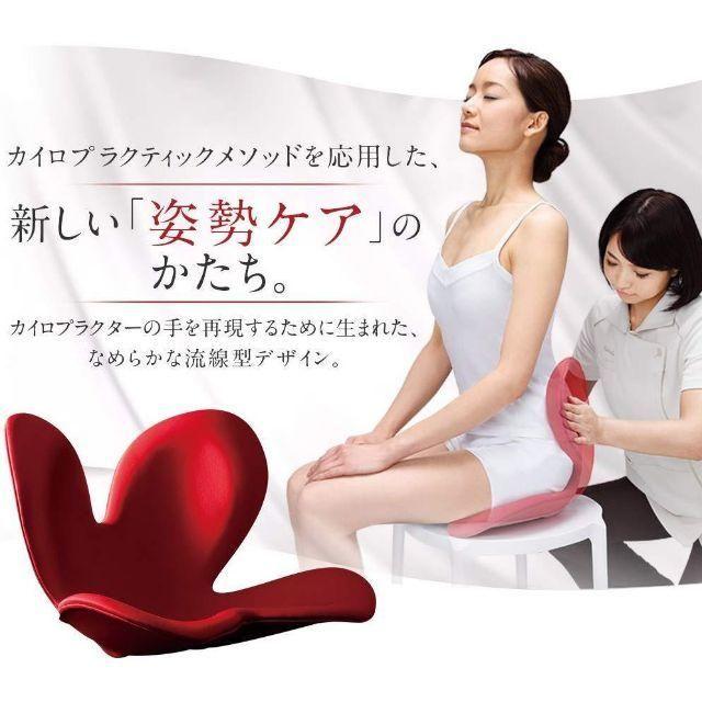 MTG 骨盤サポートチェア Body Make Seat Style