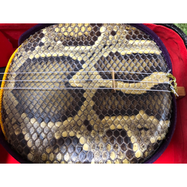 三線　蛇本皮 楽器の和楽器(三線)の商品写真